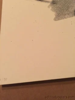 AIIA - Delicious Design Poster Print Chicago, IL Pitchfork Music Festival Union