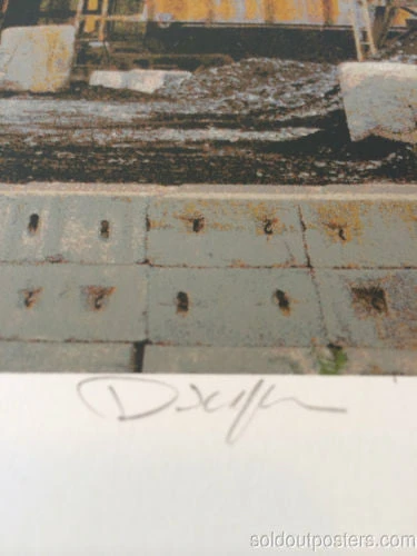 Chicago, IL Sharon Van Etten 7/18/2014 Crosshair Union Park Pitchfork Music Festival Chicago