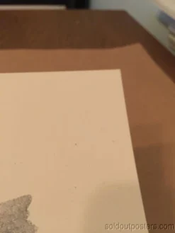 AIIA - Delicious Design Poster Print Chicago, IL Pitchfork Music Festival Union