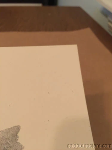 AIIA - Delicious Design Poster Print Chicago, IL Pitchfork Music Festival Union