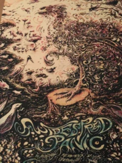 Widespread Panic - Miles Tsang DAYLIGHT Poster Print St. Louis MO Peabody Opera