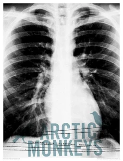 Gig Posters Arctic Monkeys - 2014 Third Alert Designs Poster Richmond