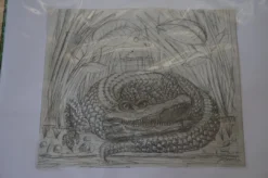 Art Prints The Enormous Crocodile - 2015 Zeb Love Original Sketch Drawing