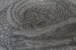Art Prints The Enormous Crocodile - 2015 Zeb Love Original Sketch Drawing