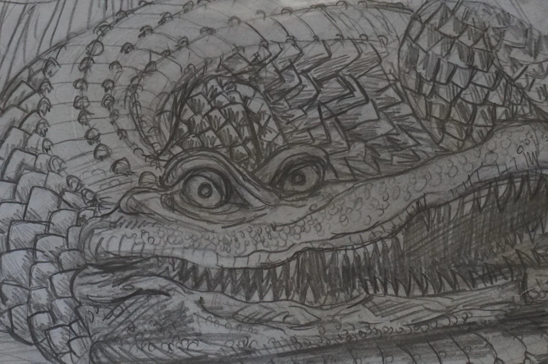 Art Prints The Enormous Crocodile - 2015 Zeb Love Original Sketch Drawing