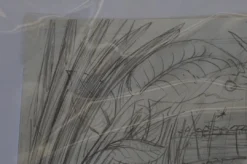 Art Prints The Enormous Crocodile - 2015 Zeb Love Original Sketch Drawing