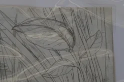 Art Prints The Enormous Crocodile - 2015 Zeb Love Original Sketch Drawing