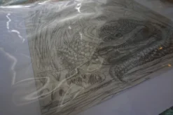 Art Prints The Enormous Crocodile - 2015 Zeb Love Original Sketch Drawing