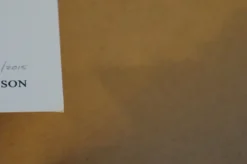 Grateful Dead - 2015 Alan Forbes Poster Chicago, IL Steal Your Face