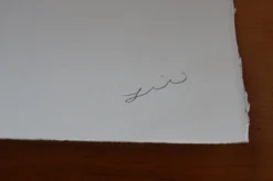 Jay Turner/The Lie Wolverine - 2016 Jay Turner The Lie Poster Print C2E2 Hand Signed And Numbered