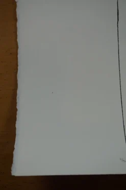 Be A Voice Not An Echo - 2015 Hijack Poster Street Art Brainwash Mr Brainwash