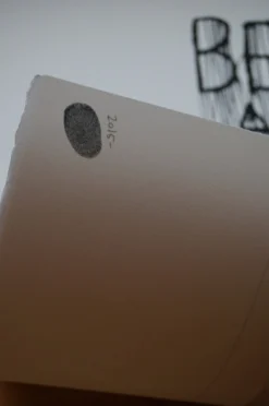 Be A Voice Not An Echo - 2015 Hijack Poster Street Art Brainwash Mr Brainwash