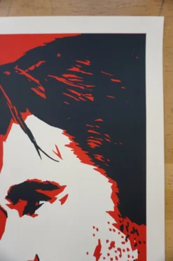 Juanes - 2013 Billy Perkins Poster Austin City Limits Texas Moody