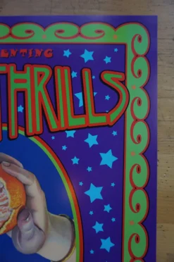 The Thrills - 2004 Dennis Loren Poster Patrick Park Troubadour Gig Posters