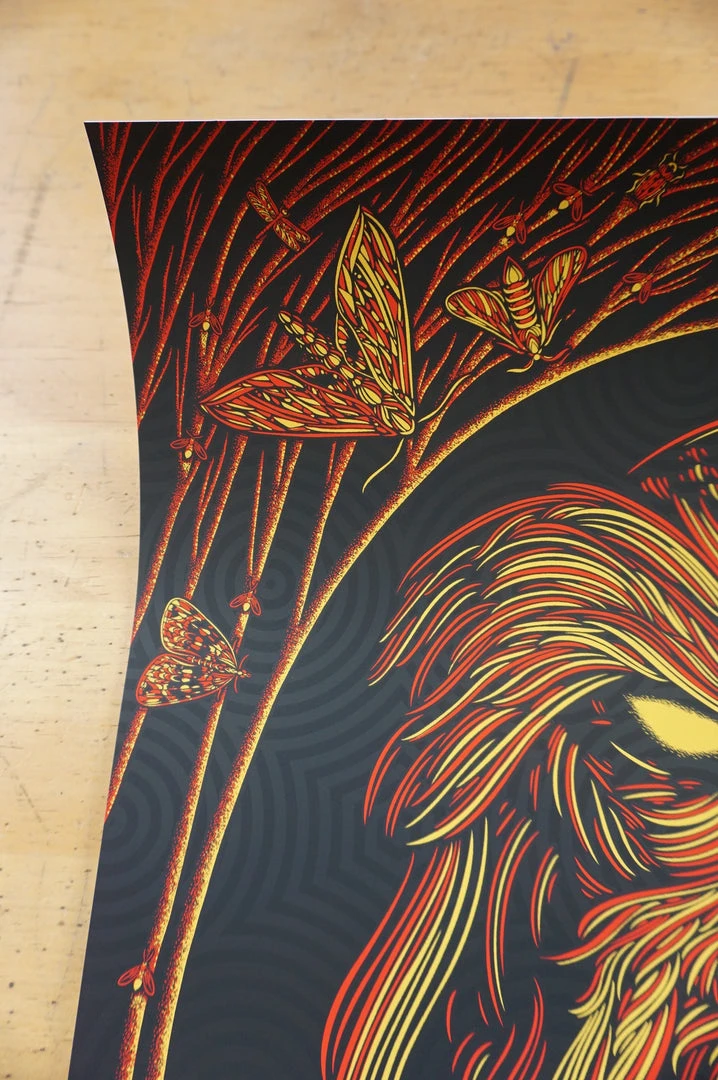 Alabama Shakes - 2016 Todd Slater Poster Taos AP Kit Carson Park Gig Posters