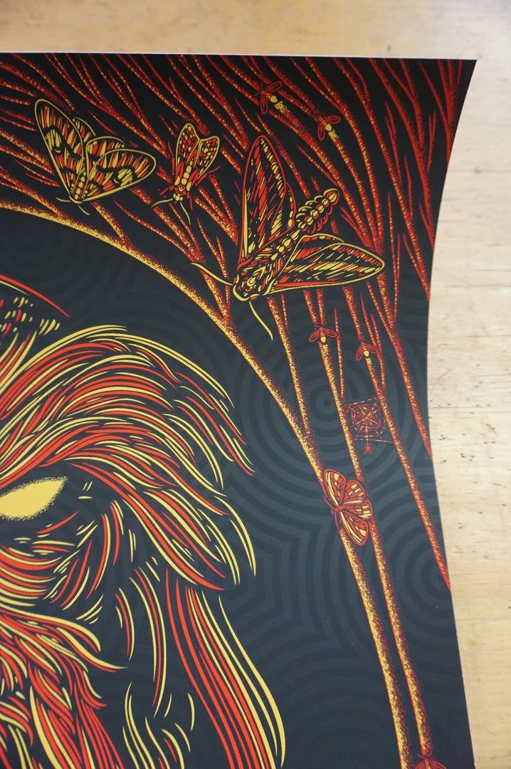 Alabama Shakes - 2016 Todd Slater Poster Taos AP Kit Carson Park Gig Posters