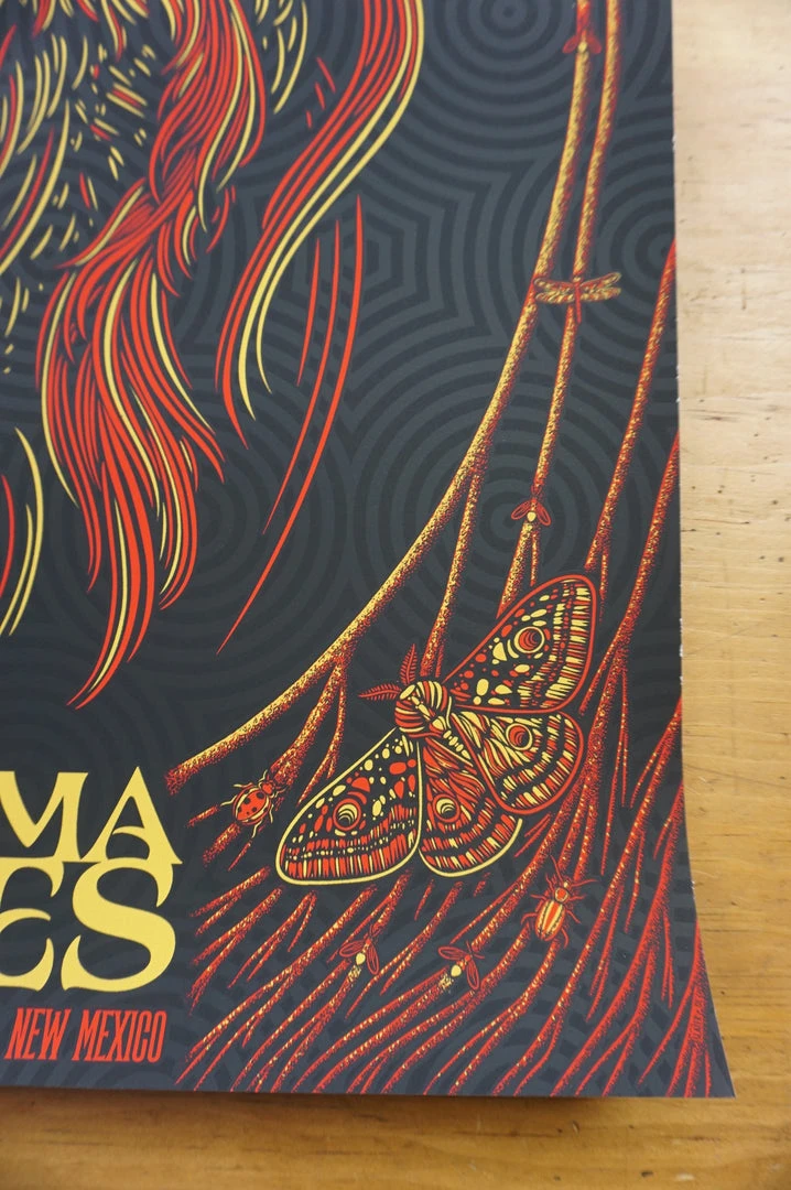 Alabama Shakes - 2016 Todd Slater Poster Taos AP Kit Carson Park Gig Posters