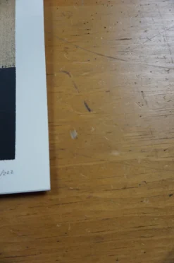 Umphrey's McGee - 2016 Delicious Design League Poster Madison Gig Posters