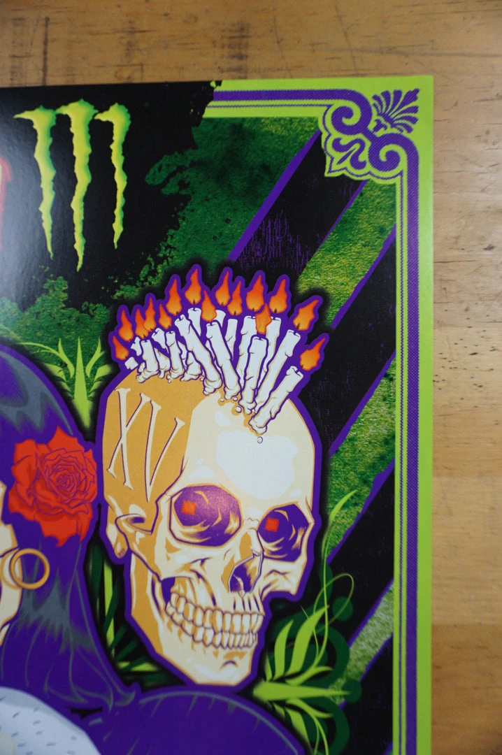 Sold Out Posters Vans Warped Tour - 2015 Poster Monster Energy Skateboarding Art Prints