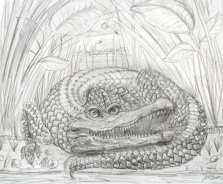 Art Prints The Enormous Crocodile - 2015 Zeb Love Original Sketch Drawing