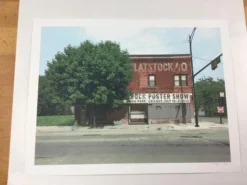 Flatstock 40 - 2013 Dan MacAdam Crosshair Poster Chicago, IL Union Park