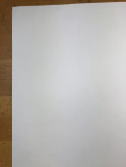 Art Prints Long Deserved - 2008 Mike Budai Poster Art Print