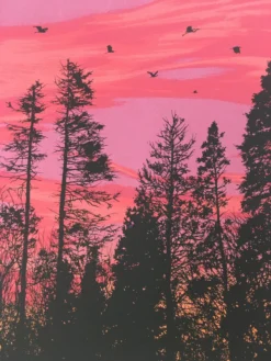 Art Prints Big Birds Flying Across The Sky - 2011 Dan McCarthy Poster Art Print