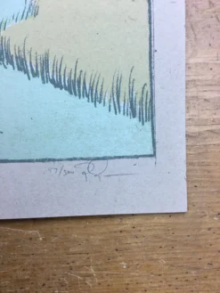 Gig Posters Andrew Bird - 2009 Jay Ryan Poster New York City, NY Carnegie Hall