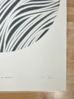 The Light We Reflect - 2021 Jay Ryan Poster Art Print