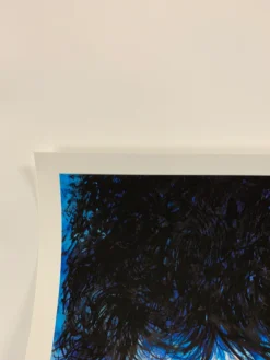 Bob Dylan - 2020 Joey Feldman Poster Art Print AP Gig Posters