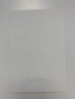 Art Prints Mike - 2020 Mike Mitchell Poster Print SUPERs