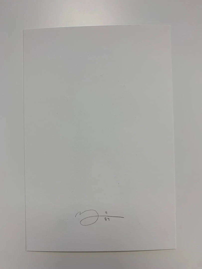 Art Prints Mike - 2020 Mike Mitchell Poster Print SUPERs