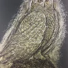 Reconstructed Snowy Owl - Dan Grzeca Poster Art Print Art Prints