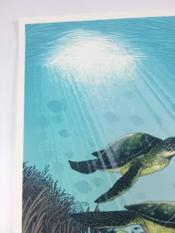 Biscayne National Park - 2016 Justin Santora Poster Art Print Art Prints