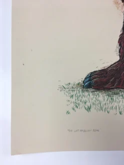 Last American Bear - 2010 Dan Grzeca Poster Art Print Art Prints