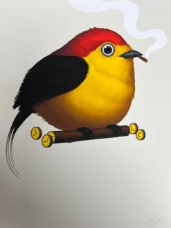 Fat Bird - 2019 Mike Mitchell Poster Wire-tailed Manakin Variant