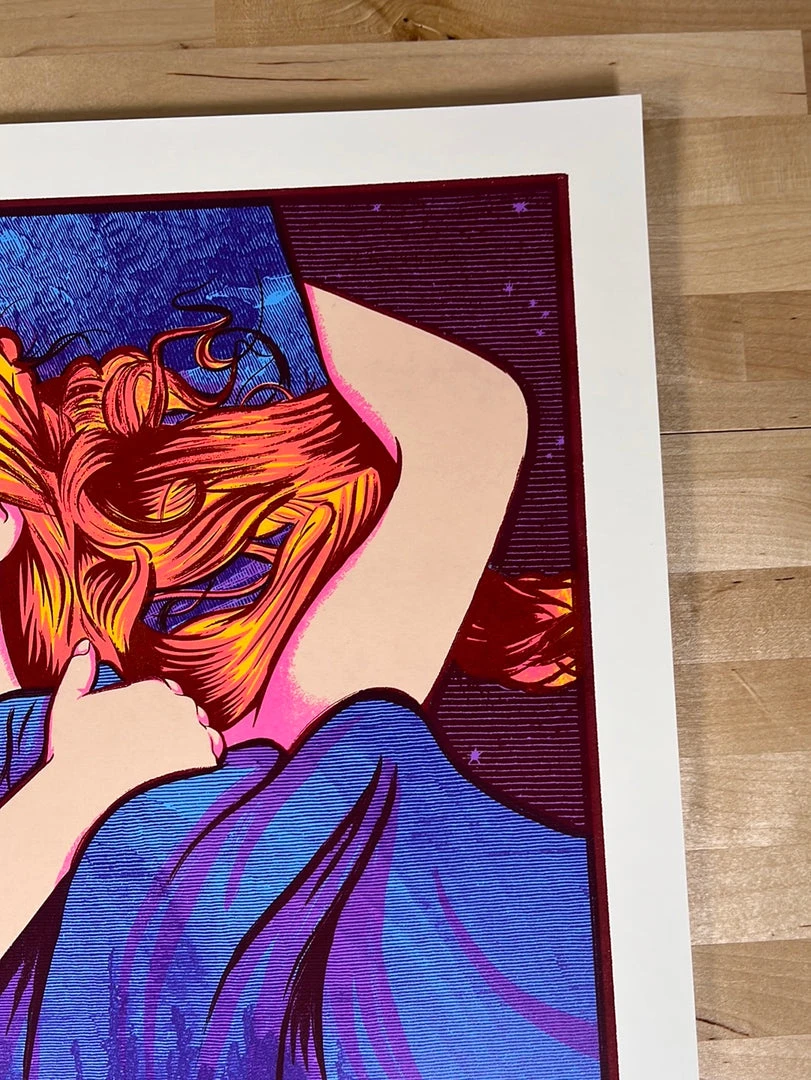 The Wood Brothers - 2016 Kyle Baker Poster Northeast Tour