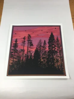 Art Prints Big Birds Flying Across The Sky - 2011 Dan McCarthy Poster Art Print