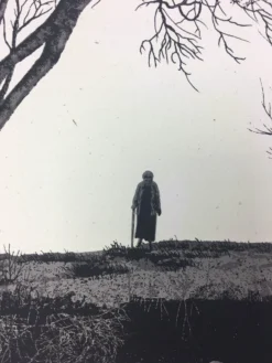 Wish You Were Here - 2011 Dan McCarthy Poster Art Print Art Prints