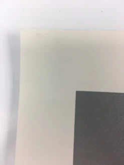 Youth - 2012 Justin Santora Poster Art Print