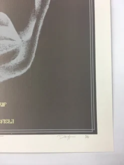 Igor Stravinsky's Rite Of Spring - 2013 Dan MacAdam Crosshair Poster Chicago, IL