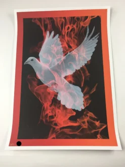 Birth Of A Phoenix #1 - 2010 Todd Slater Poster Art Print Art Prints