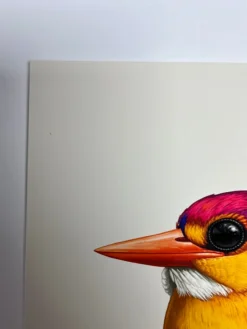 Fat Bird - 2020 Mike Mitchell Poster Rufous-Backed Dwarf Kingfisher AP Art Prints
