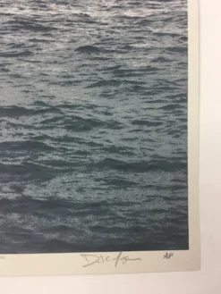 Cranes - 2011 Dan MacAdam Crosshair Poster Art Print Art Prints