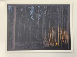 Art Prints It's Good To Warm My Bones Beside The Fire - 2011 Dan McCarthy Poster Art Print