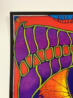 BGP 221 Widespread Panic - 1999 Dave Huckins The Warfield Theatre San Fran 1st Gig Posters