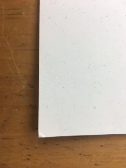 Gig Posters Andrew Bird - 2005 Jay Ryan Poster