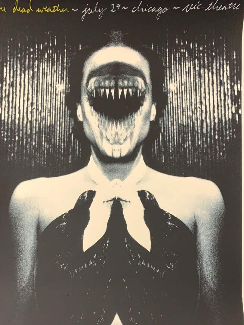 The Dead Weather 2009 Rob Jones Poster (with Damage) Chicago Vic Night 2 S/N Chicago, IL