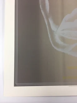 Igor Stravinsky's Rite Of Spring - 2013 Dan MacAdam Crosshair Poster Chicago, IL