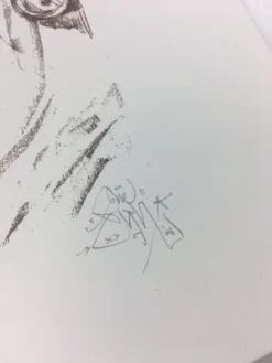 Art Prints Super Season - 2008 Elph Poster Art Print POW